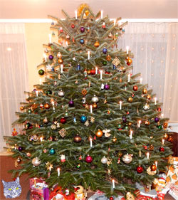 Weihnachtsbaum fertig geschmückt